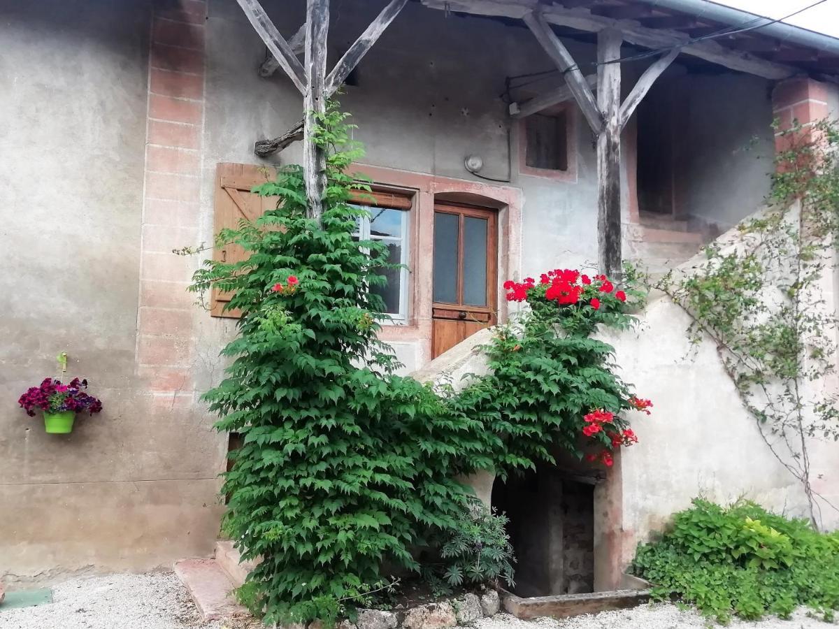 Préty La Maison Moja מראה חיצוני תמונה